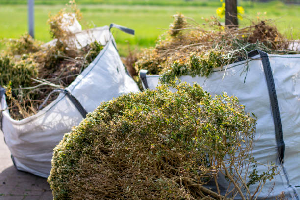 Best Same-Day Junk Removal  in Parshall, ND